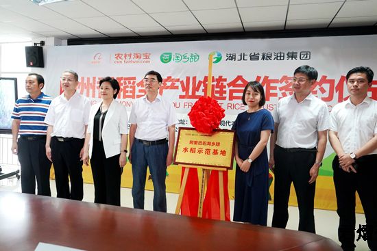 湖北省粮油集团与阿里巴巴签订随州香稻全产业链合作协议